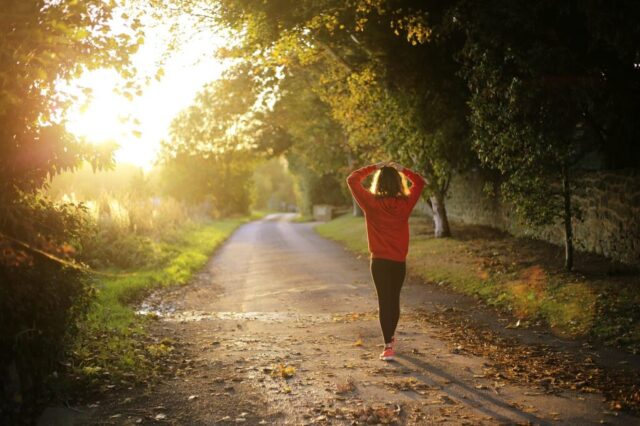 walking, fitness, girl, dawn, fall, nature, outdoors, pathway, recreation, trees, brown fitness, brown tree, brown sunset, brown walking, brown workout