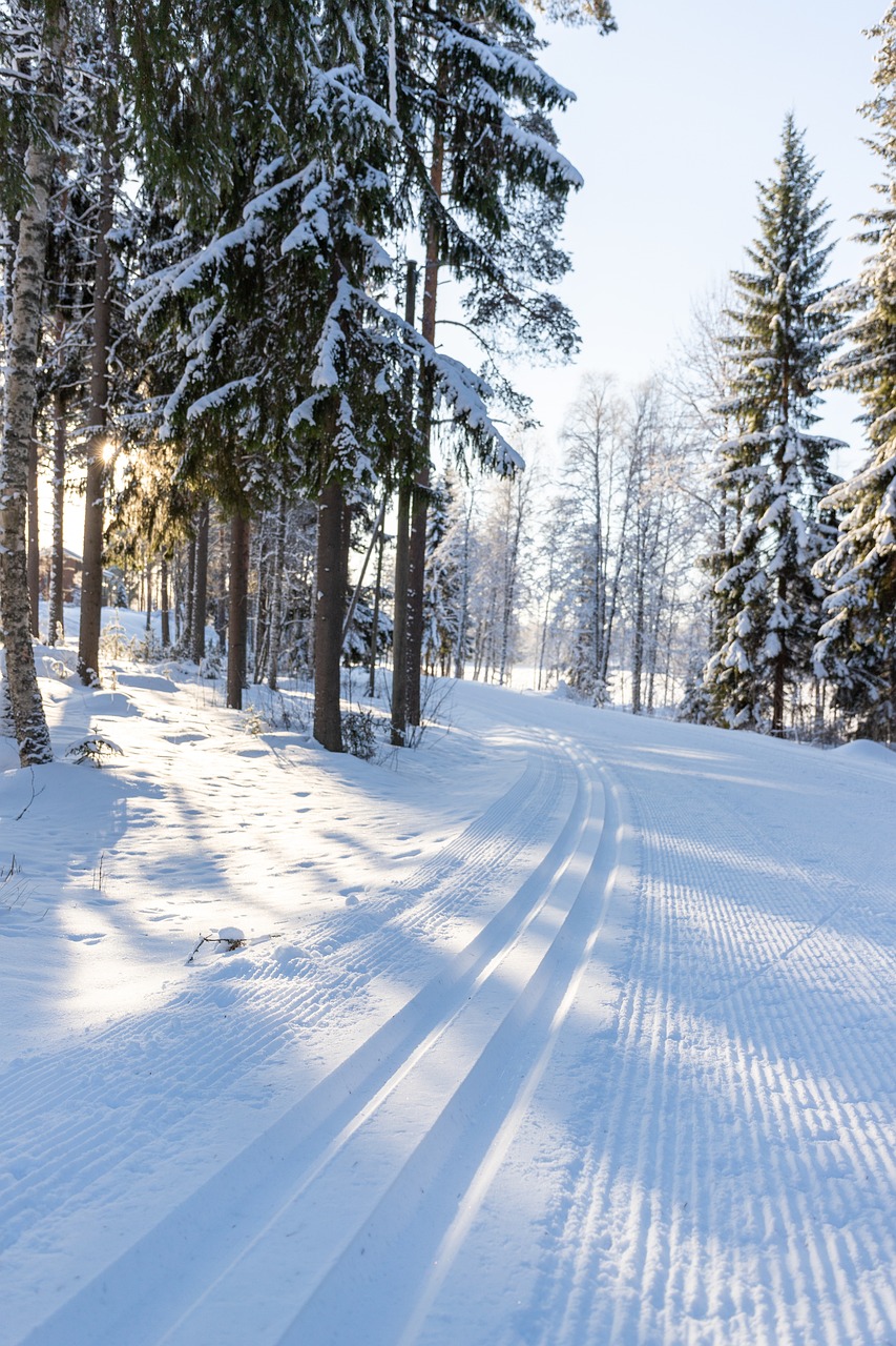 ski, snow, skiing, winter, cold, landscape, nature, snowy, sport, white, hiking, outdoor, finland, forest, ski, ski, skiing, skiing, skiing, skiing, skiing, finland